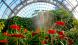 Оранжерея Таврического сада (Выставочный зал “Цветы”)